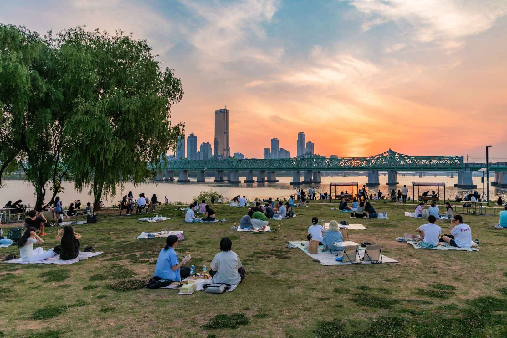 ソウルの夏が特別な理由：外国人も魅了される韓国の夏の真髄、漢江