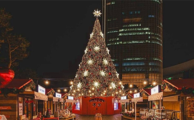 MERRY K-MAS! 今すぐ訪れたいクリスマススポット