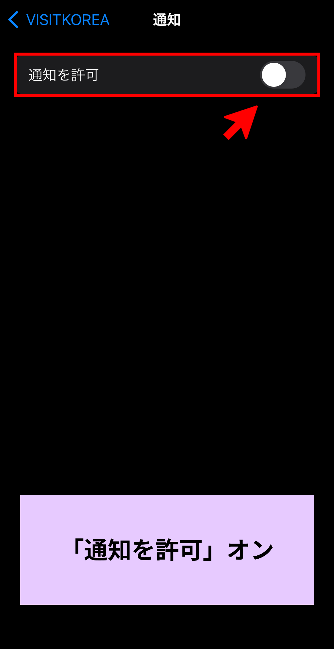iOS「VISITKOREA」モバイルアプリ設定画面
