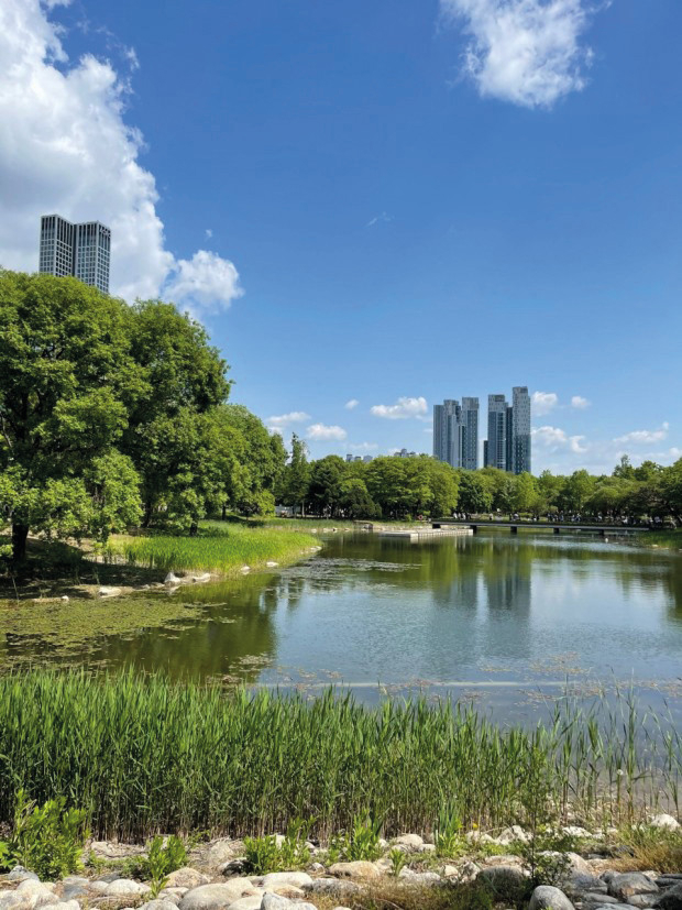 聖水洞通り＆ソウルの森