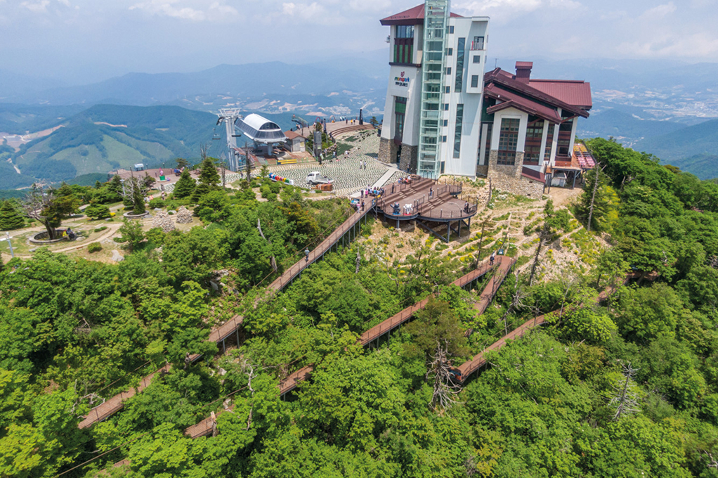 発旺山(千年樹アララギ森の道)