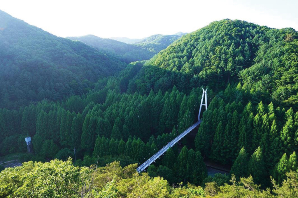 長泰山自然休養林
