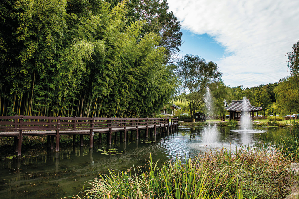 竹緑苑＆官防堤林