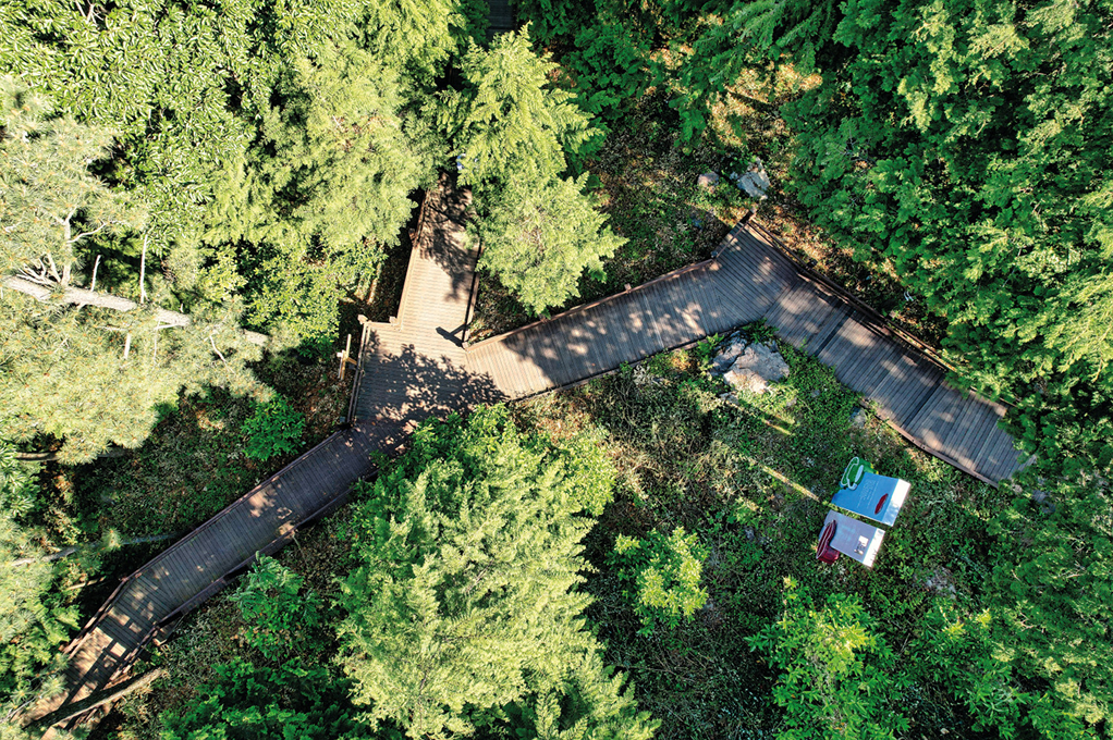 チョンナムジン(正南津)ヒノキの森ウッドランド