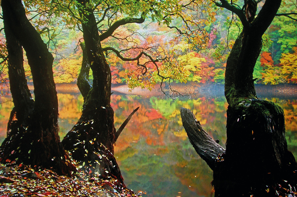 チュワンサン(周王山)国立公園＆注山池