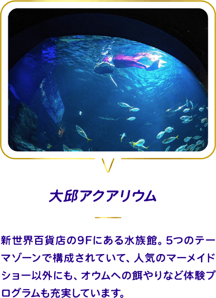アクアリウム
