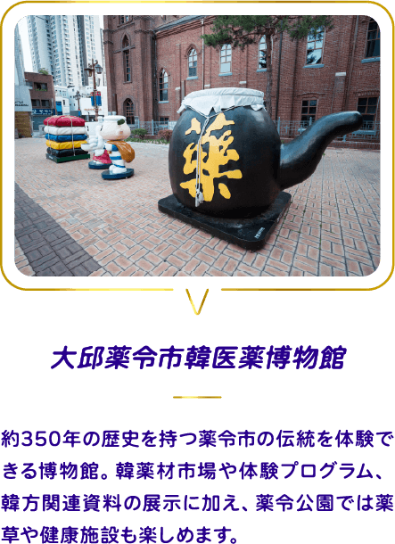 薬令市韓医薬