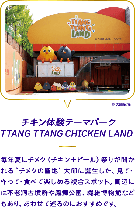 チキン体験