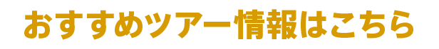 おすすめツアー情報はこちら