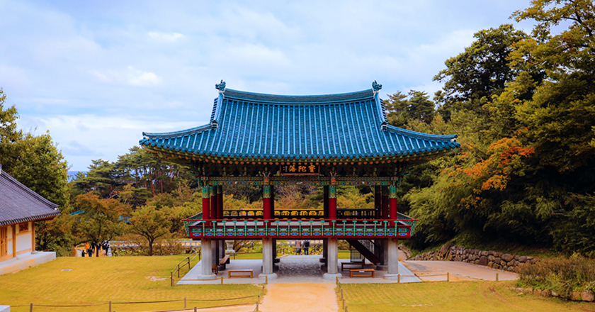 GOLDEN～黄金色に染まる秋の韓国へ～ : 韓国観光公社公式サイト