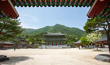 山清東医宝鑑村