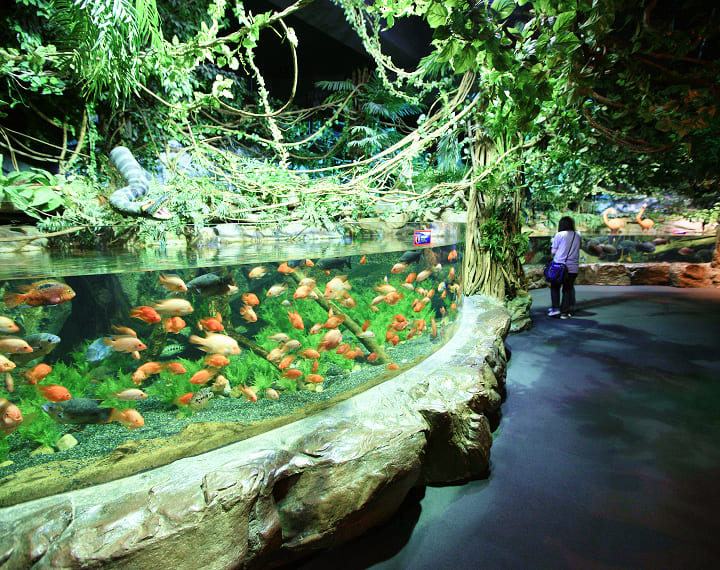 釜山アクアリウム