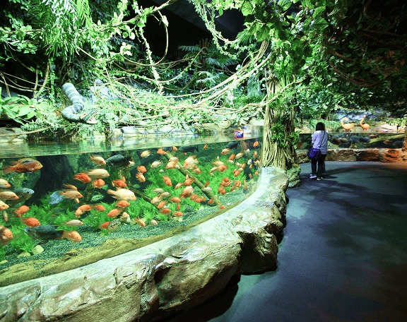釜山アクアリウム