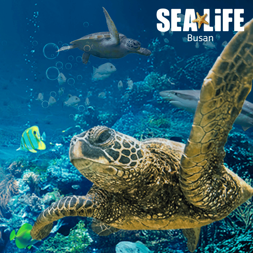 シーライフ釜山水族館