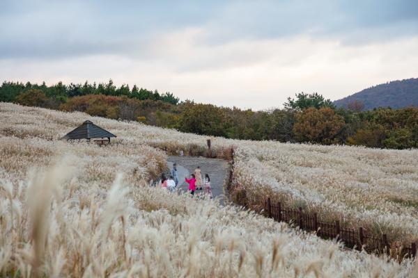 済州の山間地域と海を同時に楽しむ旅行