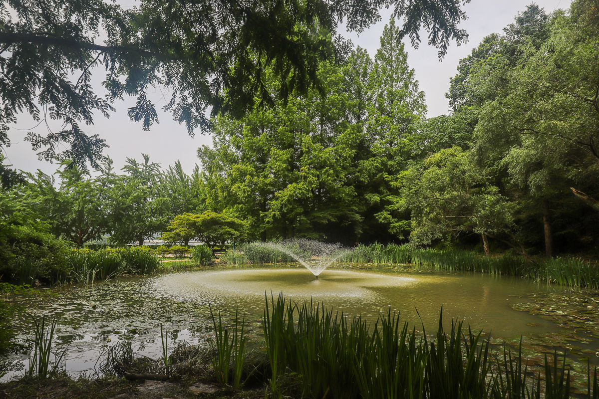 両班（ヤンバン）の風流を感じられる1泊2日の安東（アンドン）旅行