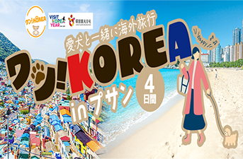 韓国観光公社×HIS共同企画 ‘ワン！KOREA in プサン’～飛行機もキャビンで一緒、愛犬と満喫する4日間・釜山の旅～