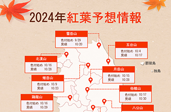 2024年韓国の紅葉、10月下旬から11月初旬が見頃