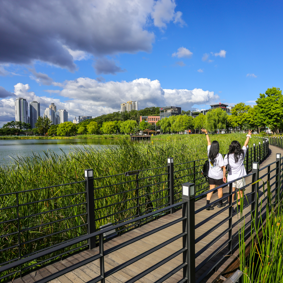大邱の路地 = Les ruelles de Daegu　帯付き 大邱 - DAEGU Trip- 韓国観光公社公式サイト「VISITKOREA