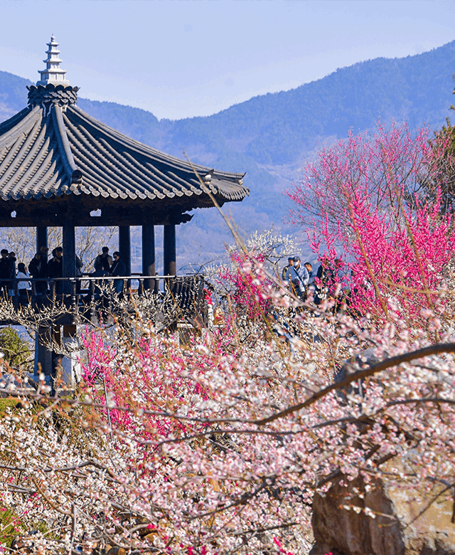 韓国観光公社公式サイト「VISITKOREA」, 画像サイズ:640x780