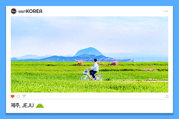 VISITKOREAセレクション : 韓国観光公社公式サイト「VISITKOREA」