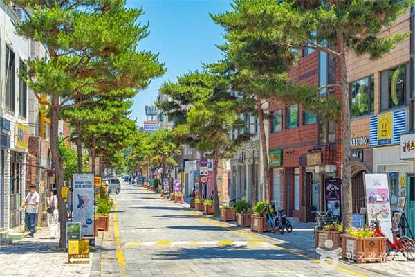 『ソンジェ背負って走れ』ロケ地、水原行宮洞散歩