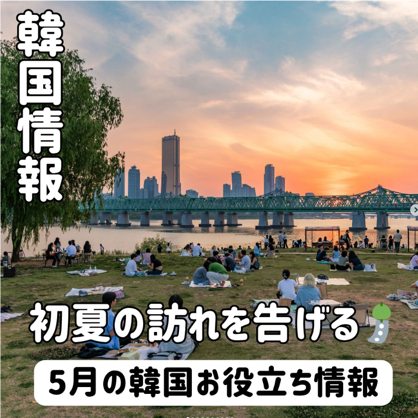 韓国観光公社 「VISIT KOREA」韓国旅ガイド 韓国旅行 - メルカリ
