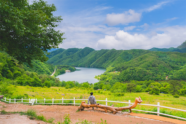 春川韓ドラ旅コース