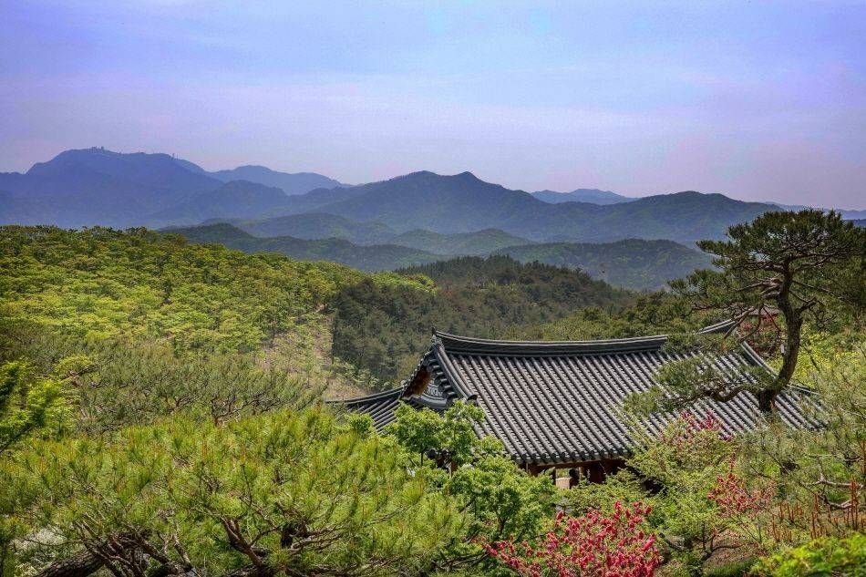 伝統と現代が共存する特別な医療観光、<br>テグ広域市・キョンサンブク道