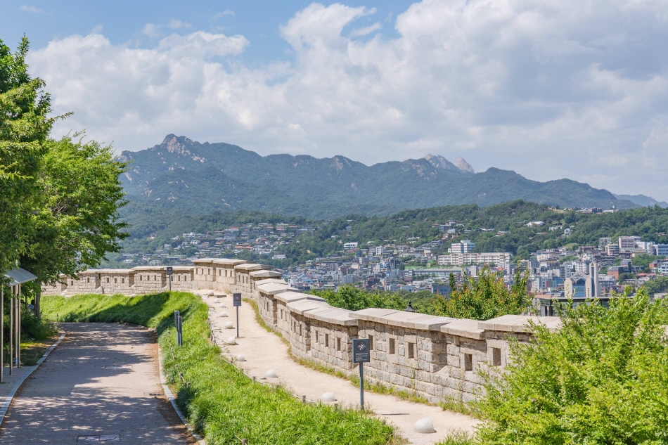 優れたアクセシビリティ‐美容外科編