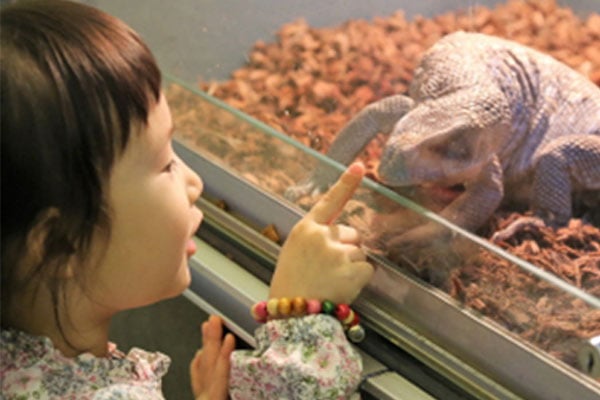 自然満喫、子連れで忠州体験旅行