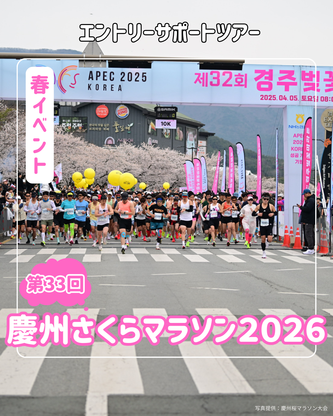 🌸第33回 慶州さくらマラソンのお知らせ🌸