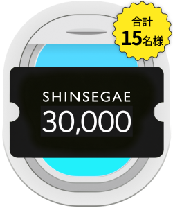 SHINSEGAE Gift Voucher 30,000 won