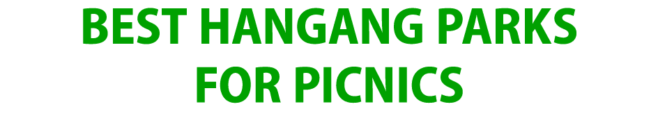Best Hangang Parks for Picnics