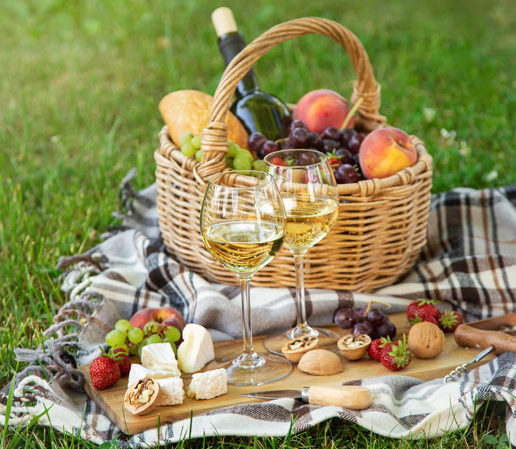 Two glasses of white wine, cheese, fruits. Picnic, outdoor dinner on a  green lawn, selective focus, copy space