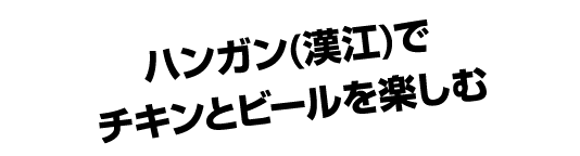 ハンガン(漢江)で チキンとビールを楽しむ