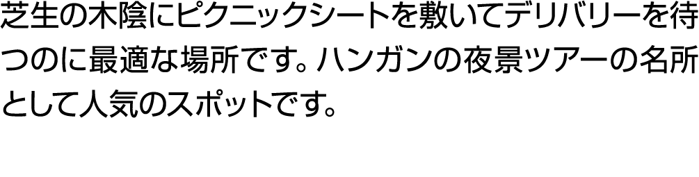 芝生の木陰にピクニックシートを敷いてデリバリーを待つのに最適な場所です。ハンガンの夜景ツアーの名所として人気のスポットです。
