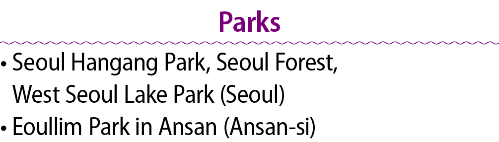 Parks • Seoul Hangang Park, Seoul Forest, West Seoul Lake Park (Seoul) • Eoullim Park in Ansan (Ansan si)