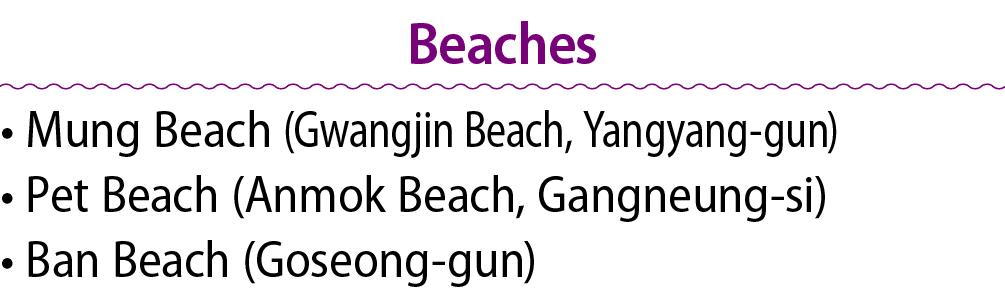 Beaches • Mung Beach (Gwangjin Beach, Yangyang gun) • Pet Beach (Anmok Beach, Gangneung si) • Ban Beach (Goseong gun)
