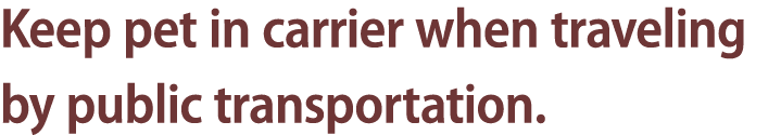 Keep pet in carrier when traveling by public transportation. 