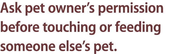 Ask pet owner’s permission before touching or feeding someone else’s pet.