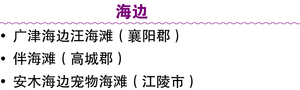 海边 • 广津海边汪海滩（襄阳郡） • 伴海滩（高城郡） • 安木海边宠物海滩（江陵市）