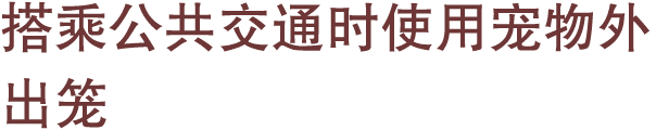 搭乘公共交通时使用宠物外出笼