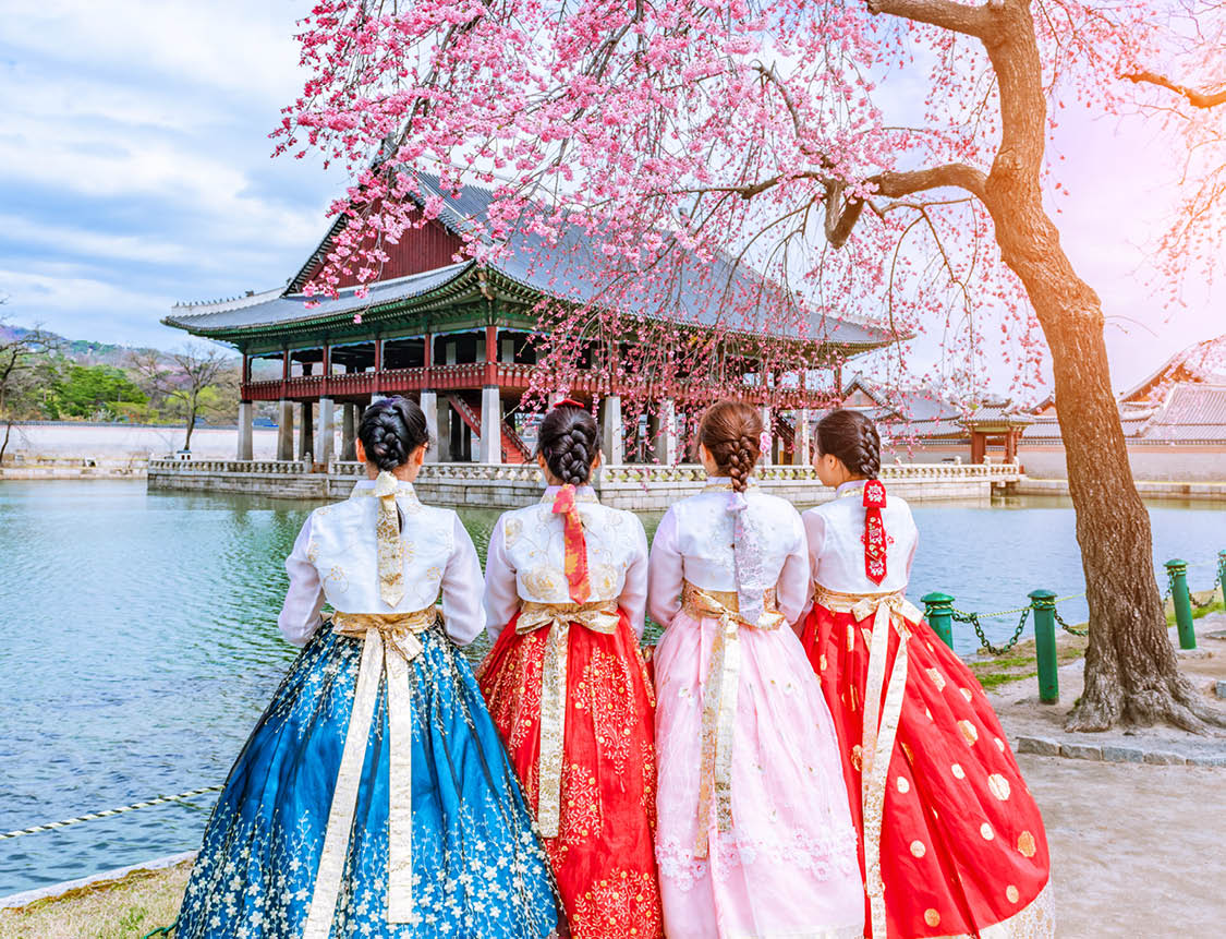 Cherry Blossom with Korean national dress at Gyeongbokgung Palace Seoul,South Korea