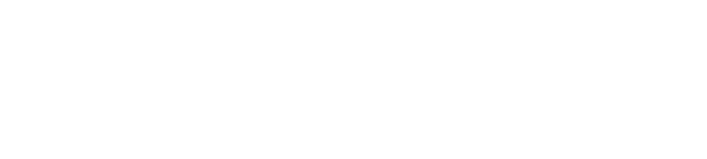 重视环境的 纯素早午餐