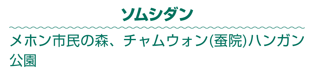 ソムシダン メホン市民の森、チャムウォン(蚕院)ハンガン公園