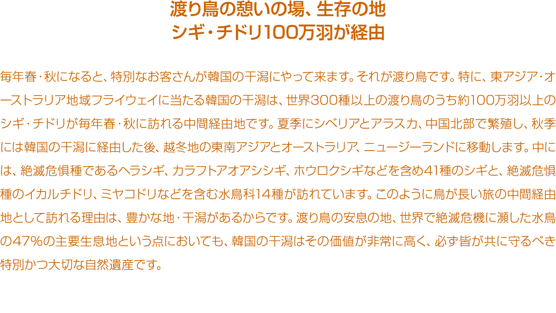                     100                                                                                  300            