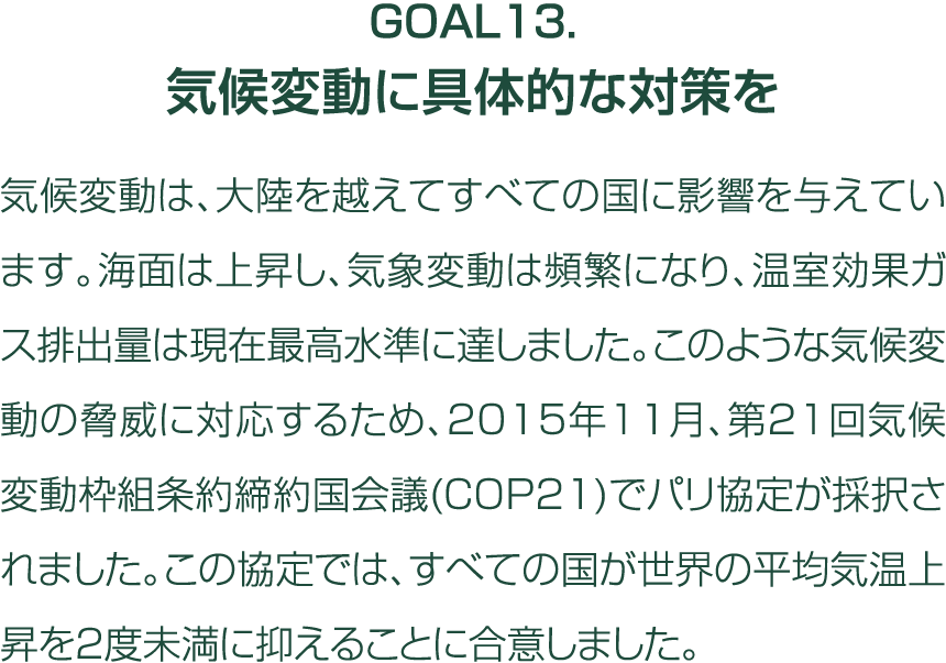 Goal13                                                                                                        2015 11   