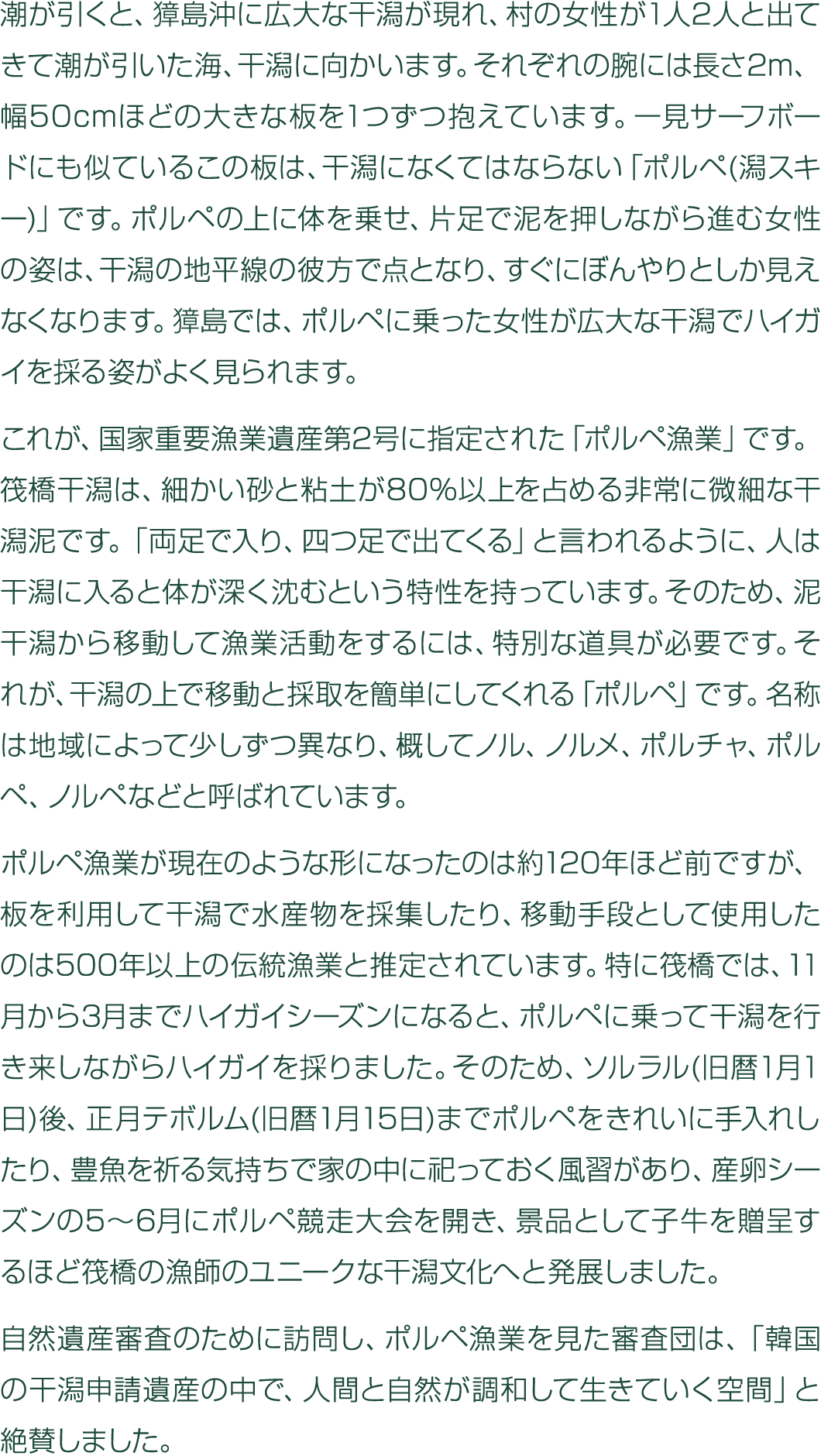                         1 2                                2m  50cm        1                                            