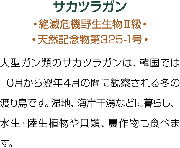                            325-1                     10     4                                                   